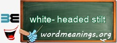 WordMeaning blackboard for white-headed stilt